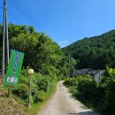 더플라워펜션 이미지