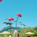 경희대석사효태권도장 이미지