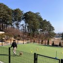 경포몽애견펜션 | [강릉] 경포몽 애견펜션 | 강아지와 함께 쾌적하게 머물렀던 숙소 / 야외운동장 / 내부인테리어 / 내돈내산
