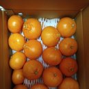 한라봉브로콜리 이미지