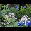 수국천지 윤제림 이미지