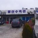 월산수족관