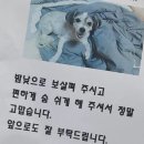 이수의과병원부설수정소 | [공지] 고려동물메디컬센터, 믿고 방문해도 될까?