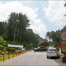 숲향기 목공방 이미지