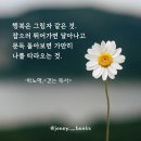 나윤선 아름다운 사람중 이미지