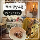 신림사 | 신림카페 달달스콘 내돈내산 카공 후기