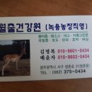 월출건강원