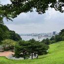 환호그린빌시장 이미지