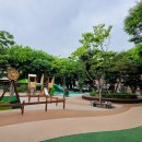 오동나무어린이공원 이미지