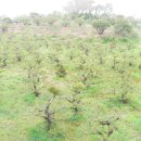 운곡농장 이미지