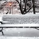 더원마트 이미지