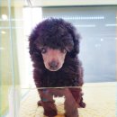 남양시장로45번길 이미지