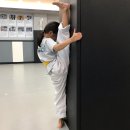 백호태권도장 이미지