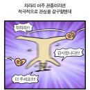 아싸리 이미지