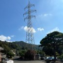 로얄맨션호텔 이미지