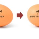 지금평사농장 네이버블로그