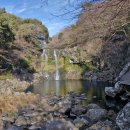 천제연폭포 | 천제연 폭포 후기｜제주 중문 걷기 좋은 산책 코스