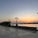 나일약국 이미지