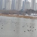 비전지웰푸르지오아파트 주변 이미지