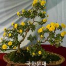 서한공업도금공장 | [7년 전 오늘] 사하구 장림동 서한 공업 본사 냉난방 에어컨 이전 설치