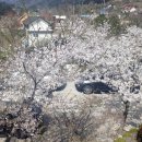 그린밸리펜션 이미지