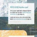 와이즈맘픽