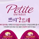 쁘띠앙뜨