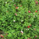 함양친구네집 이미지