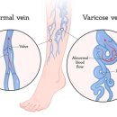 하이닥의원 이미지