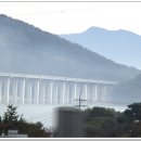 충주호 종댕이 이미지