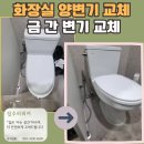 오도산 자연휴양림 화장실2 (양변기) | 용인 양변기 교체 금 간 변기 화장실 새 변기로 교체