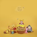 아기곰스튜디오 이미지