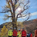 대열잔차 124회 2025년 11월 경기도 양평군 용문산 용문사 답사 라이딩 ＜결과＞ 이미지