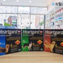 드림i약국 이미지