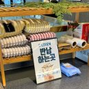 청주 하나 카 모터스 | 오송 청주 대형카페, 베이커리 맛집 카페그니 방문 후기