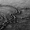 리빙웰치과병원 이미지