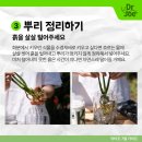 주식회사흙뿌리 이미지