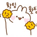 스콜라몬테소리부산 이미지