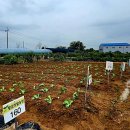 길용농장 이미지