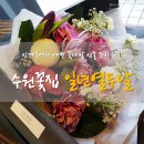 경기도 수원시 팔달구 권광로180번길 49 (인계동) 이미지