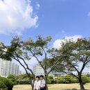 연평고등학교 | 230911 연평중•고등학교 캠퍼스투어 후기
