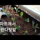 베란다텃밭 만들기ㅣ상추키우기ㅣ방울토마토키우기 이미지