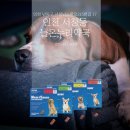 늘온누리약국 네이버블로그