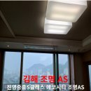 이진에코그린 이미지
