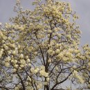 재경2호 이미지