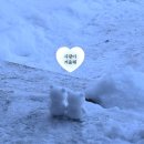 여기가행복한펜션 | 평창휴식공장 펜션 솔직 후기:바베큐, 야외사우나,불멍존,빔프로젝트까지?