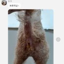 멍미 대구대곡역점 이미지