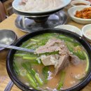 부산가면 꼭 먹어야 하는 맛집은 어디? 부산 맛집 BEST 5 이미지