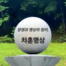 양생과 명상의 메커니즘 원리, 차훈명상(茶熏冥想) 이미지