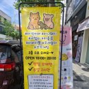 냥꿀냥꿀 이미지